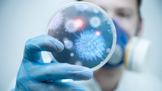 Crystal Meth Could Stave Off the Flu